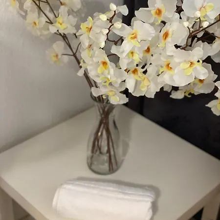 Shared Apartment, Friesenplatz Διαμέρισμα Κολωνία