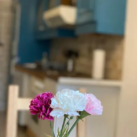 Shared Apartment, Friesenplatz Colonia