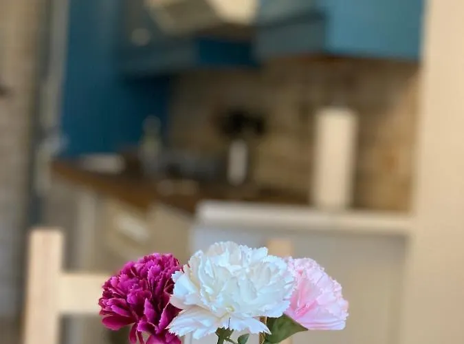 Shared Apartment, Friesenplatz קלן