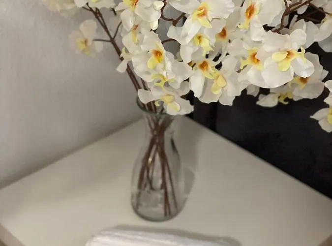 Shared Apartment, Friesenplatz דירה קלן