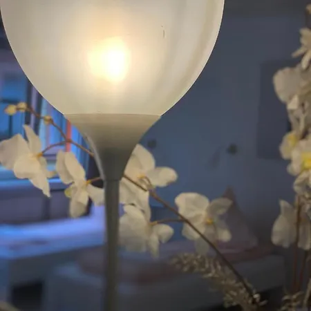 Shared Apartment, Friesenplatz 科隆