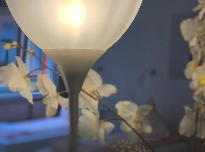 Shared Apartment, Friesenplatz Cologne